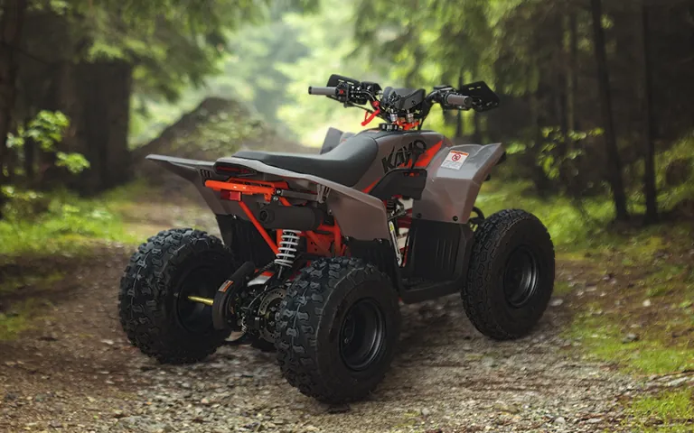 Quad KAYO A125 w lesie