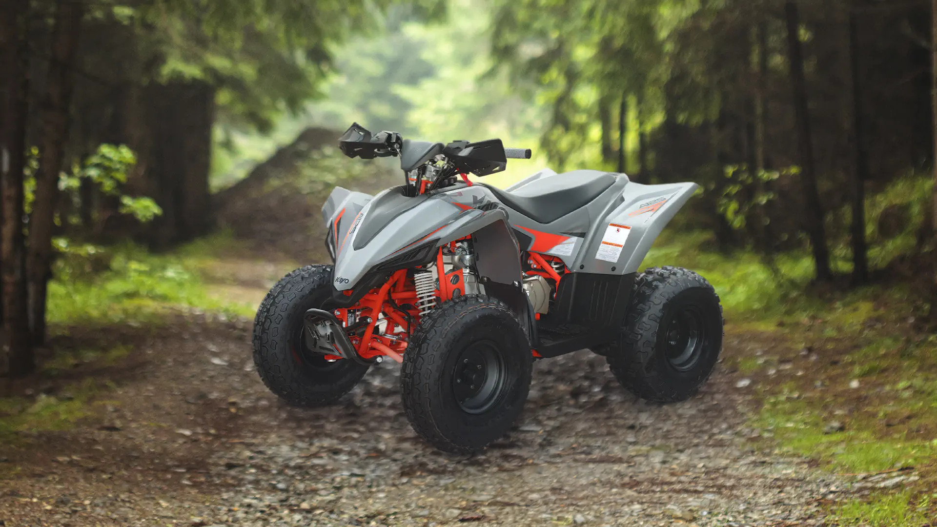 Quad KAYO A125 w lesie