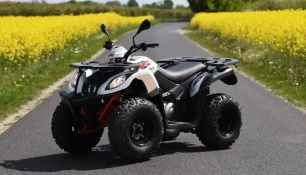 KAYO AU200 T3B w terenie