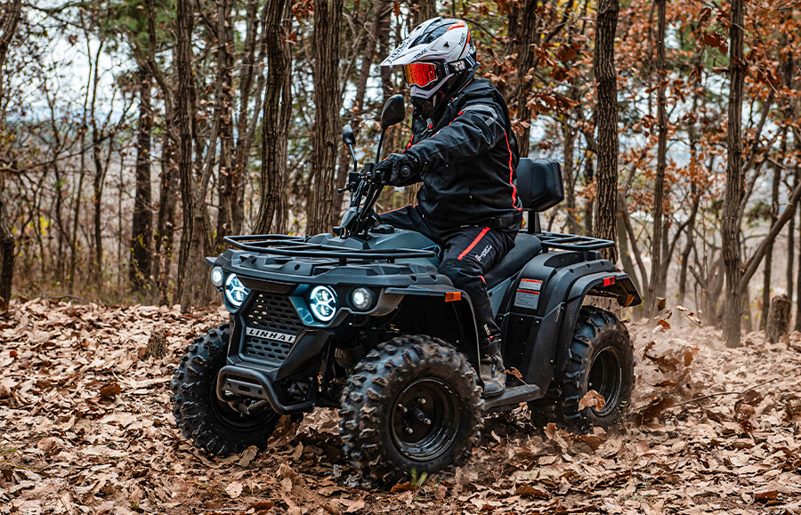 LINHAI M210 EFi silnik