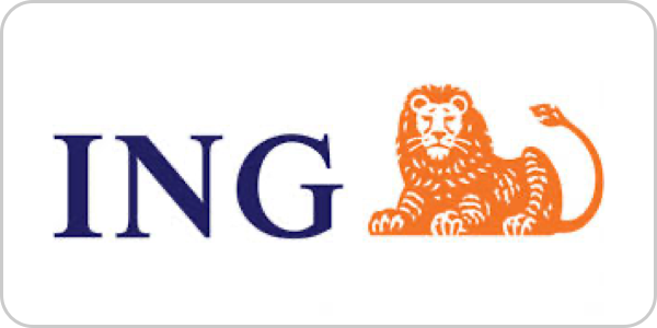 Metoda Płatności Ing