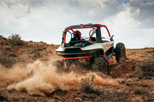 Segway Villain SX10 X Diff