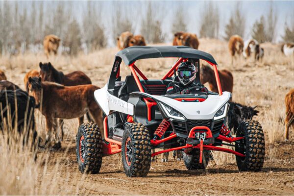 Segway Villain SX10 X Diff